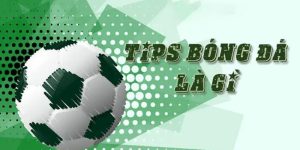 Tips Bóng Đá - Bí Quyết Nâng Cao Tỷ Lệ Thắng Cùng KO66